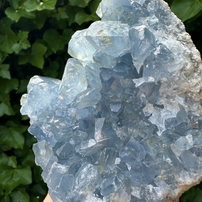 "Hamsa Hand" 🪬 Celestite Cluster