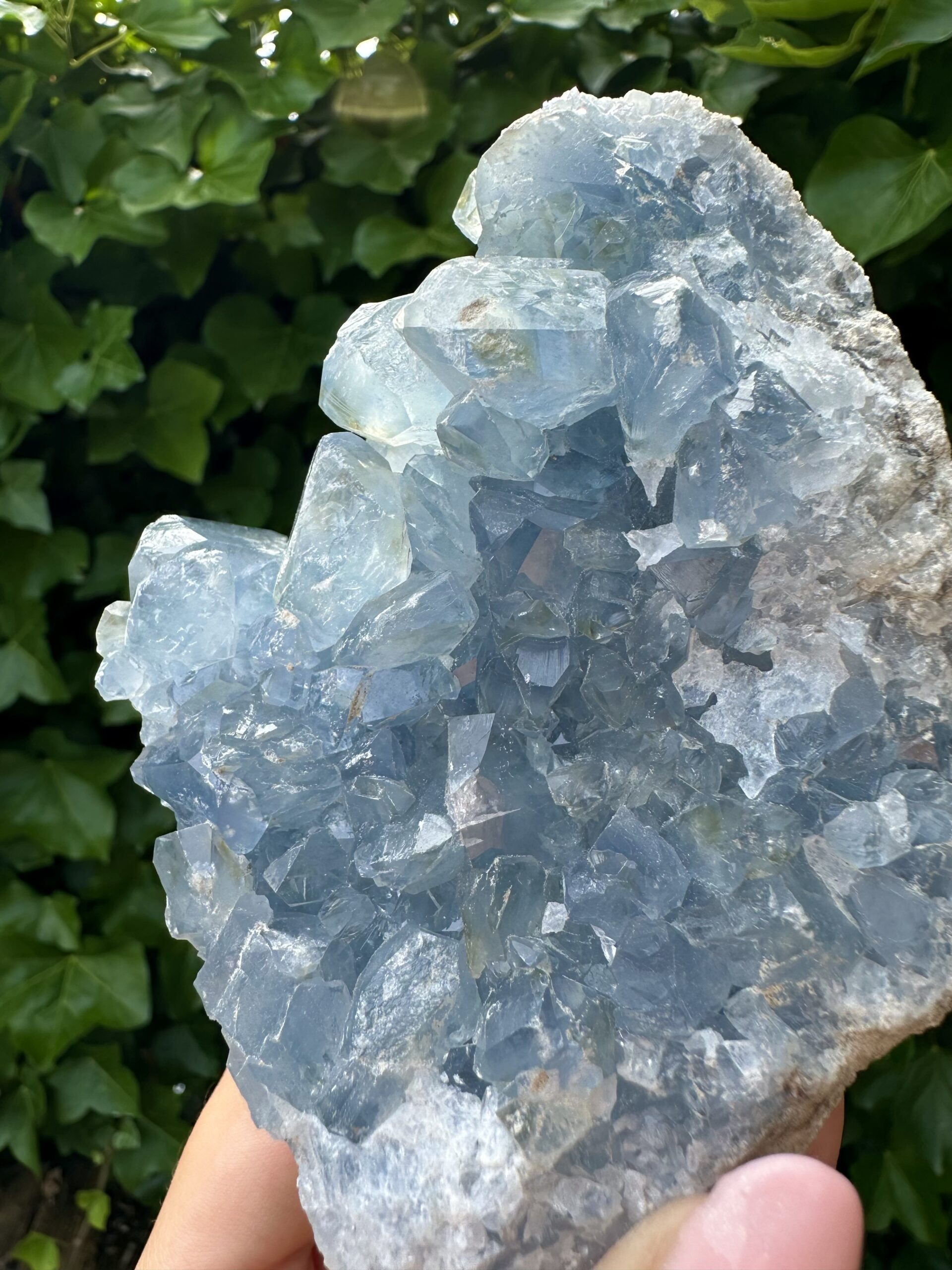 "Hamsa Hand" 🪬 Celestite Cluster