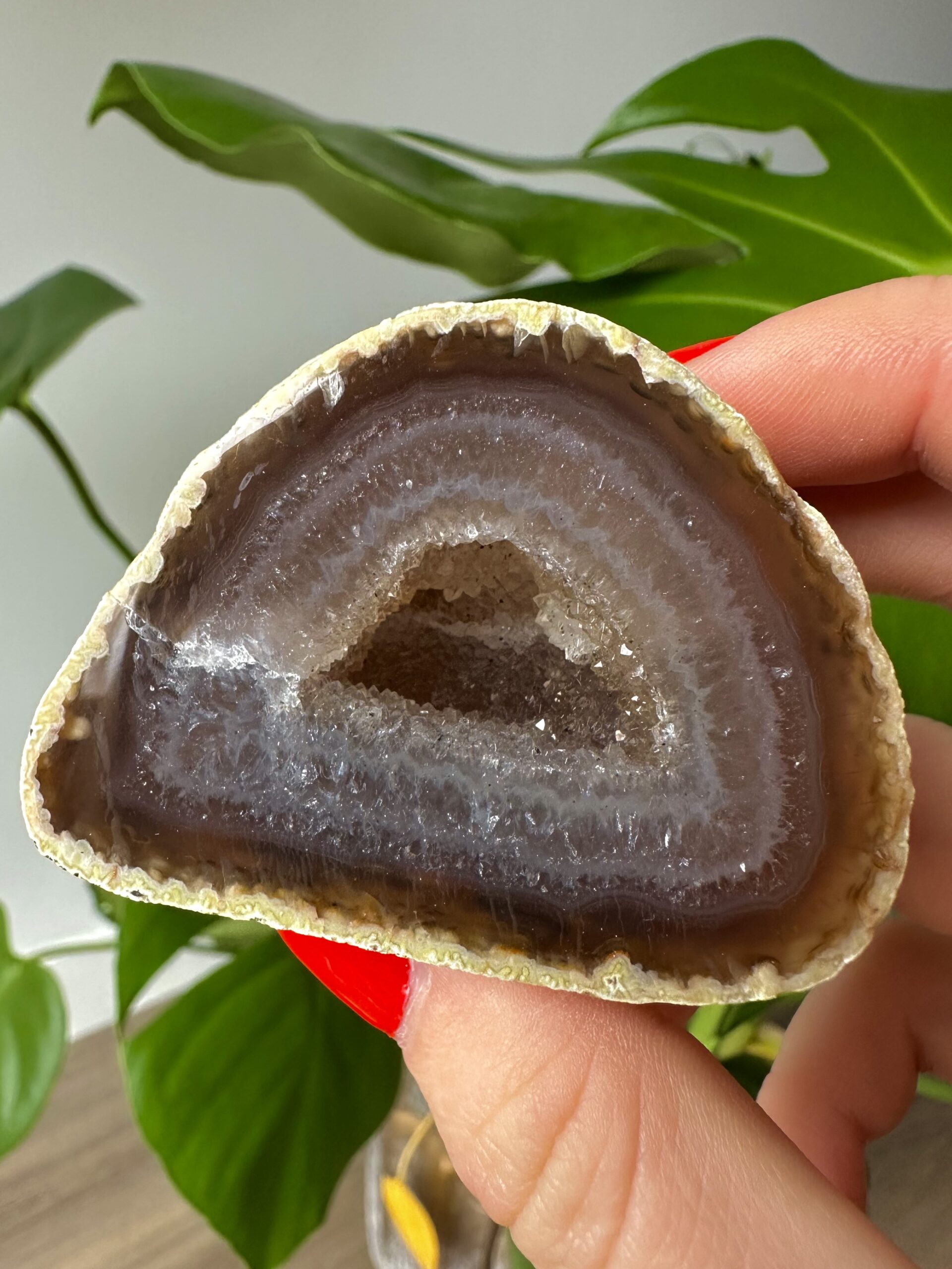 Brown Agate Geode