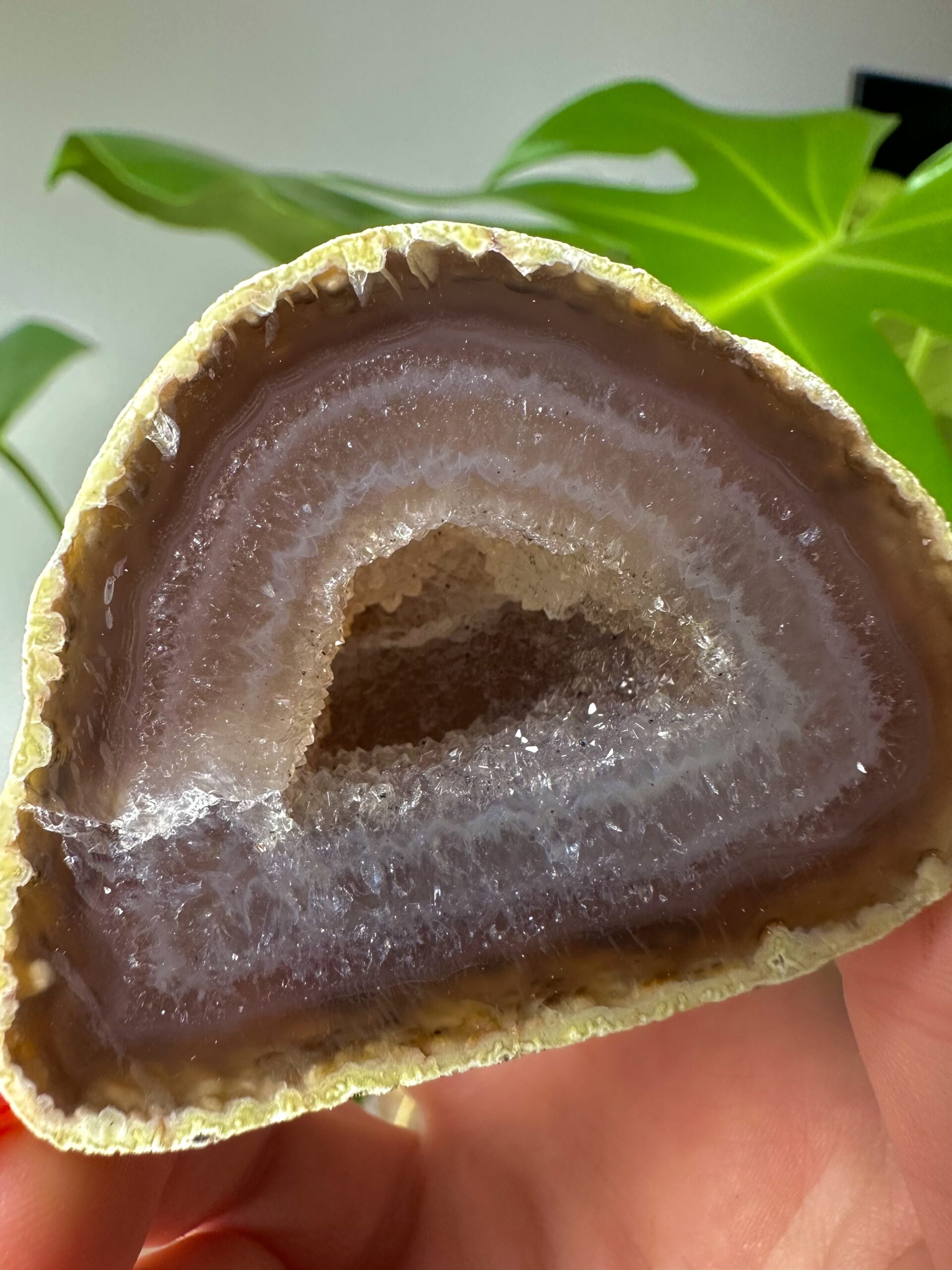 Brown Agate Geode - Image 3