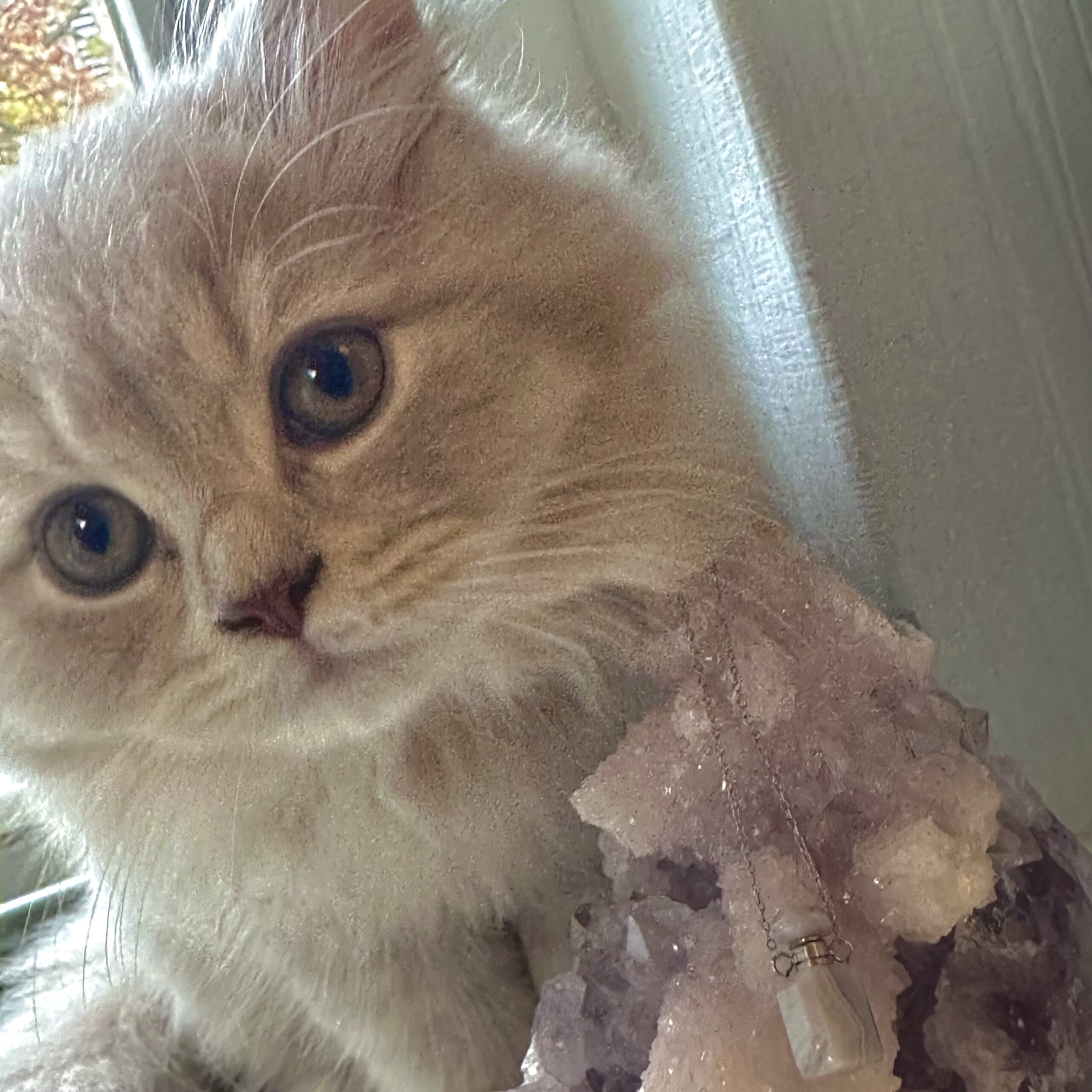 🕊️Keepsake Crystal Necklace Blue Lace Agate - Image 2