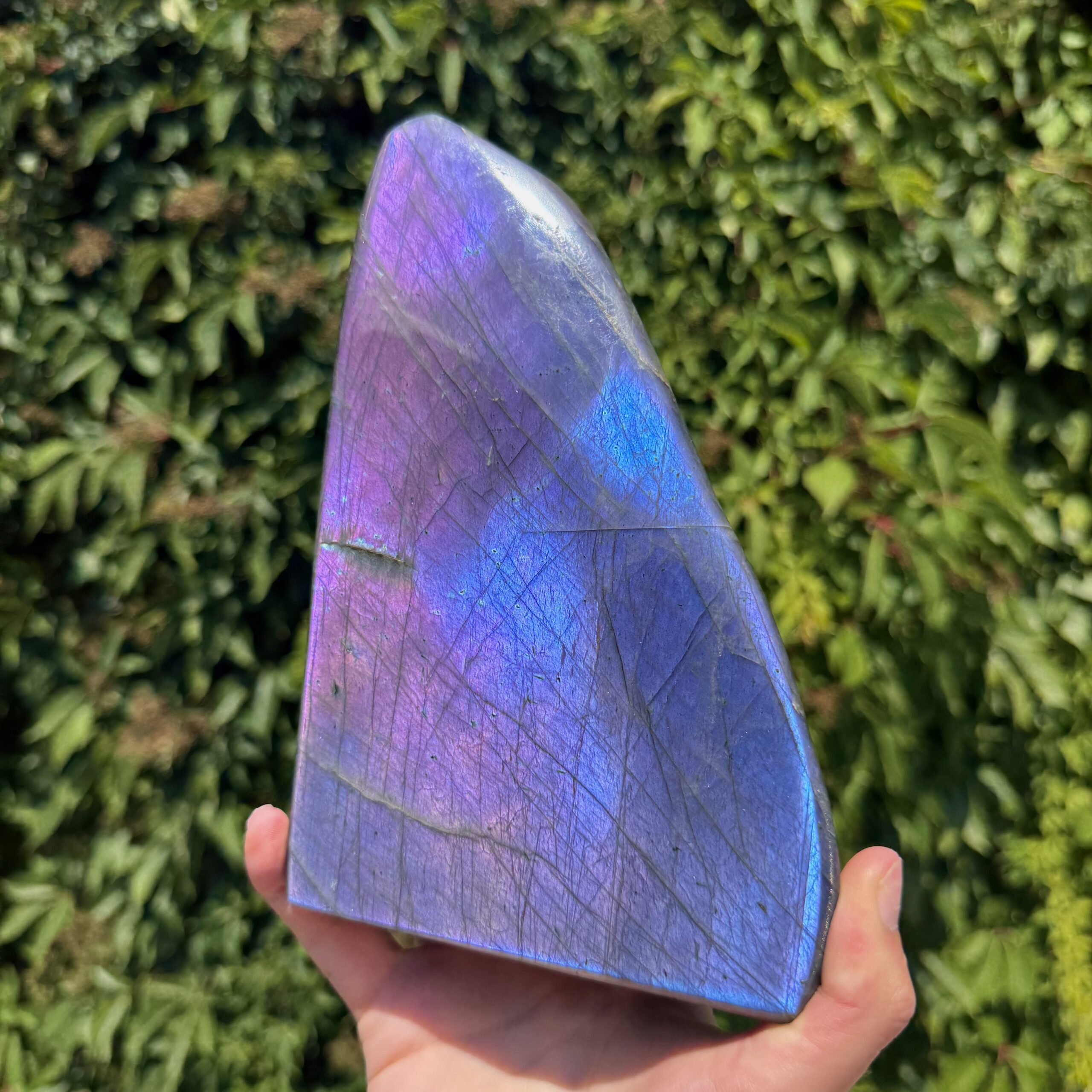 STATEMENT! Mermaid Labradorite - Image 3