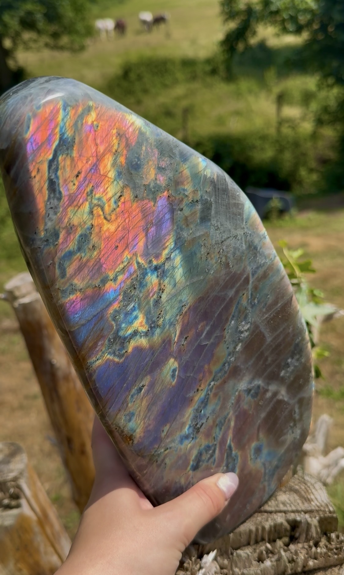 STATEMENT! Mermaid Labradorite - Image 2